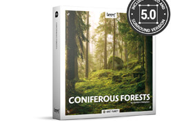 Boom Library - Coniferous Forests
