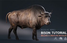Bison tutorial Nicolas morel