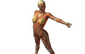 Posemaniacs - Anatomy Reference Images - 参考照片