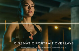PROEDU Master Collection - 200 Cinematic Portrait Overlays - 图片素材