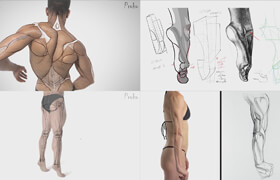 PROKO - Anatomy of the Human Body for Artists（1-33）
