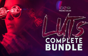 Triune Digital - LUTS COMPLETE BUNDLE - lut