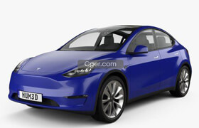 Tesla Model Y 2021