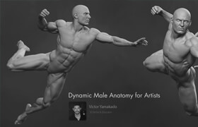 Skillshare - Dynamic Male Anatomy for Artists in Zbrush Make Realistic 3D Human Model