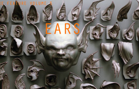 ArtStation - EARS - 40 ZBrush VDMs