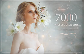 Avanquest 7000+ Professional LUTs 1.0.0