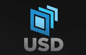 USD plugin
