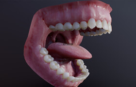 Sketchfab - Photorealistic human mouth - 3dmodel