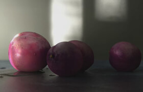 The Gnomon Workshop - Procedural Plums