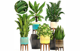 Turbosquid - Collection plants modelby deckorator4