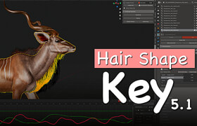 Hairshapekey for Blender - Vfx Grace