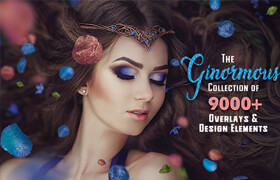 InkyDeals - The Ginormous Collection of 9000+ Overlays And Design Elements - 平面素材