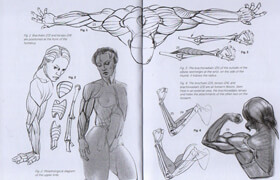 Lauricella, Michel - Morpho Muscled Bodies (2021) - book