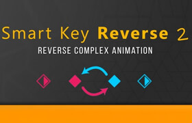 Smart Key Reverse