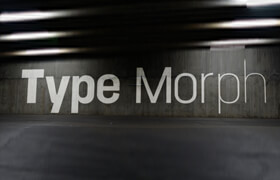 Type Morph