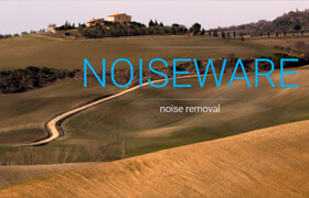 Imagenomic Noiseware - 图像去噪点工具