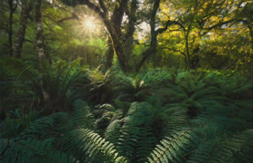 William Patino Photography - Photoshop for Landscape Photographers