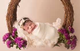 bp4u - NEWBORN DIGITAL BACKDROP STEP BY STEP COMPOSITE TUTORIAL VIDEOS