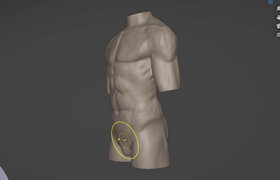 Skillshare - Blender Sculpt a male torso for beginners