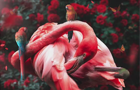 Skillshare - Fine Art Funky Flamingo in Photoshop Masterclass