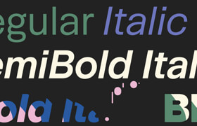 Animography's Animated Typefaces for Font Manager