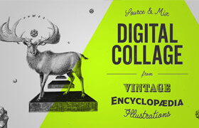 SKillshare - Digital Collage from Vintage Encyclopedia Illustrations