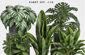 plant set-112