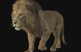 CGCircuit - Grooming Lion Fur in Houdini - Sara Hansen