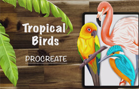 Tropical Birds In Procreate