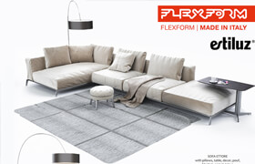 Flexform Sofa with decor