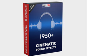 Video Presets - 1950+ Cinematic Sound Effects [For Filmmakers]