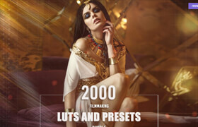 Eldamar Studio - 2000 Filmmaking Presets and LUTs Bundle