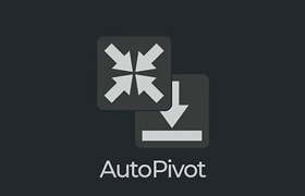 AutoPivot