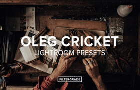 Filtergrade - Oleg Cricket Vintage Lightroom Presets - lr预设
