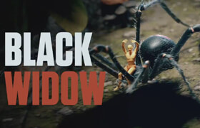 Artstation - Black Widow - Model, Texture, Rig and Animate a Spider in Cinema 4D