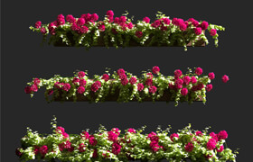 Plant Geranium Facade v2