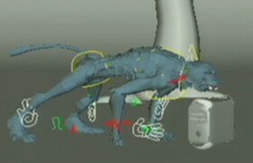 Jason Schleifer - Maya Fast Rigs