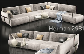 Sofa_natuzzi_herman 2981