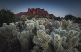 Pro Photo Courses - Focus Stacking Time Blend