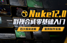 【正版】【大师】Nuke12.0 影视合成零基础入门系统教程【四大模块丨案例实操】