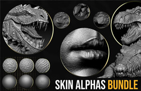 Arstation - CGSphere Skin Alphas Bundle - 笔刷纹理