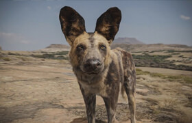 Udemy - Realistic Animal Creation in Blender - Adrian Krokodil (Nexttut)