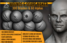 Artstation - Wounds and Scars Maker 300 ZBrush Brushes And 60 Alphas - 材质贴图