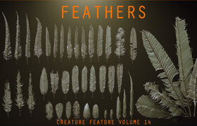 Artstation - FEATHERS - 40 High poly sculpts and IMM Brush