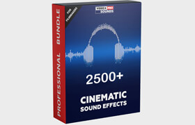 Video Presets - 2500+ CINEMATIC SOUND EFFECTS [FOR FILMMAKERS]
