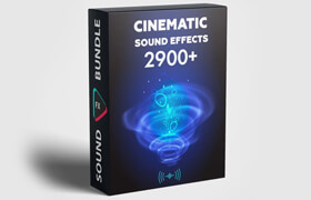 Video Presets - 2900+ CINEMATIC SOUND EFFECTS [FOR FILMMAKERS]