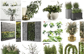 18套植物模型合集