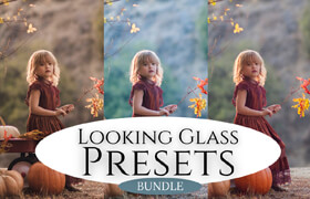 Jessica Drossin - Looking Glass Presets Bundle - 调色预设