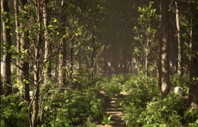 Udemy - Unreal Engine 5 - Easy Natural Environments by Nafay Sheikh