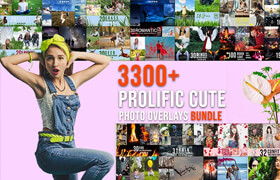 InkyDeals - 3300 Prolific Overlays Bundle